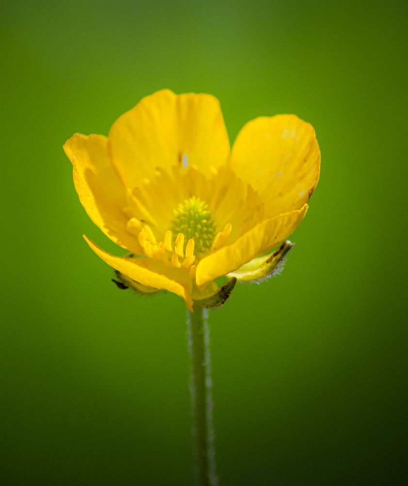 Photograph by Bachir Rabouh