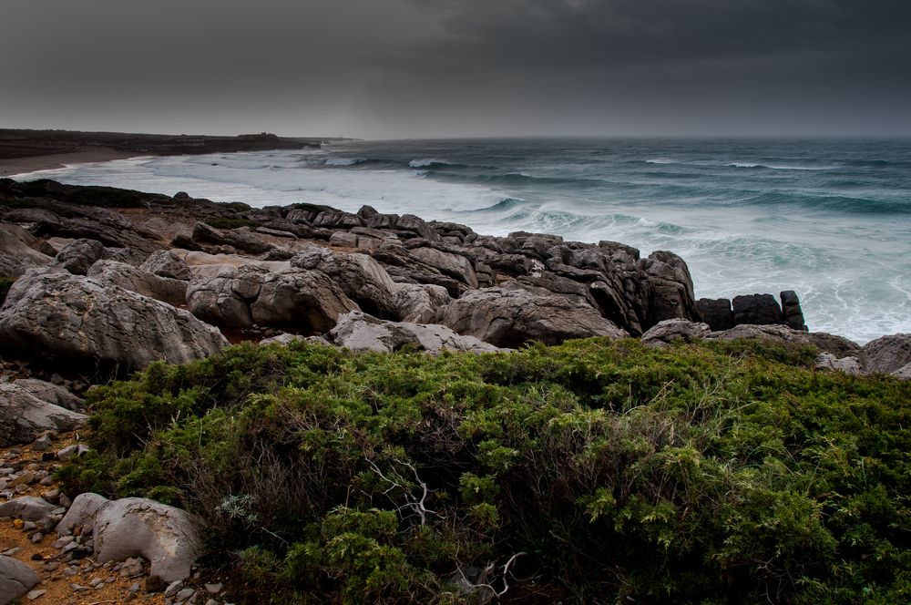 Photograph by Luis Pais