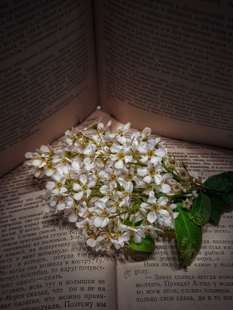 Photograph by Наталья Чередниченко