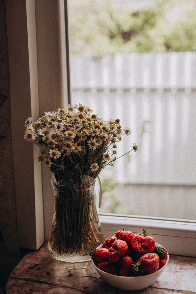 Photograph by Анастасия Криваль