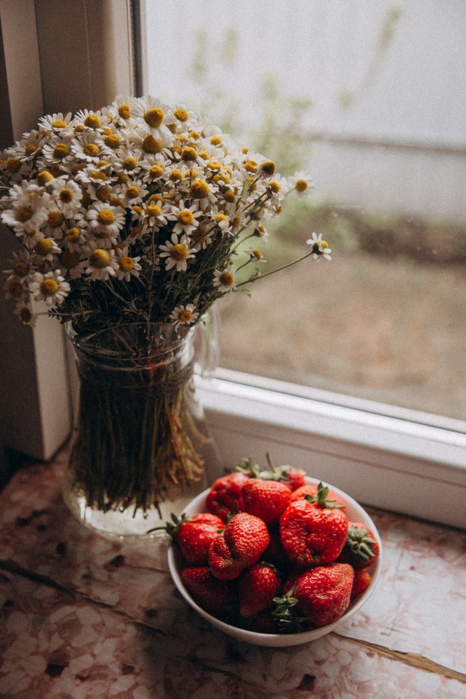 Photograph by Анастасия Криваль