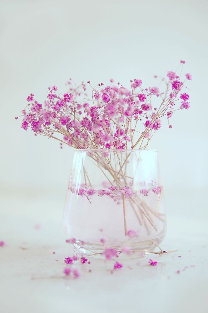 Photograph by Наталия Комаровская