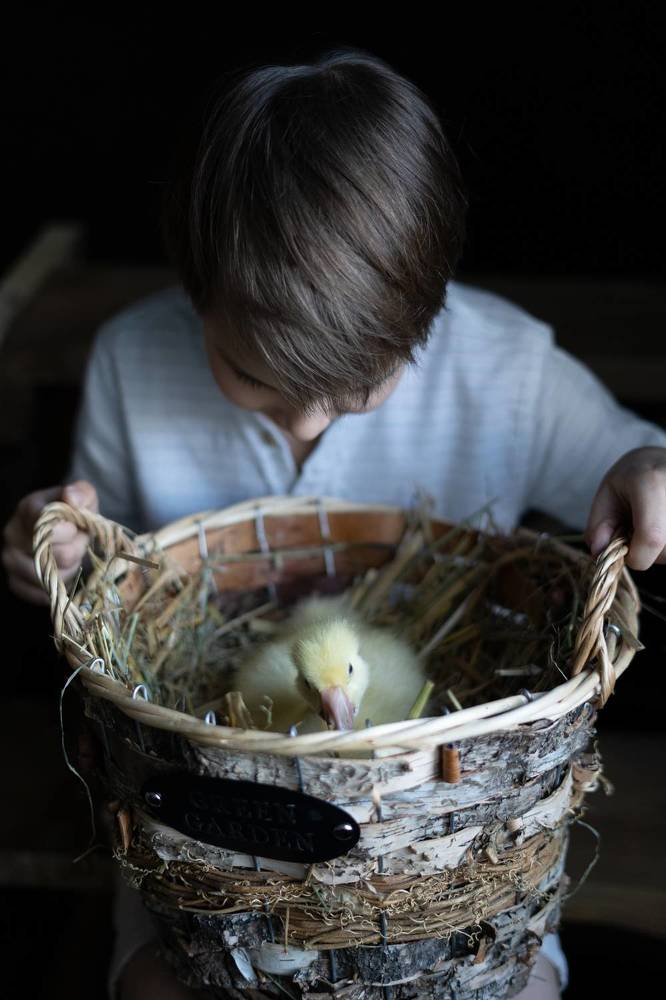 Фотография автора Elena Budanova