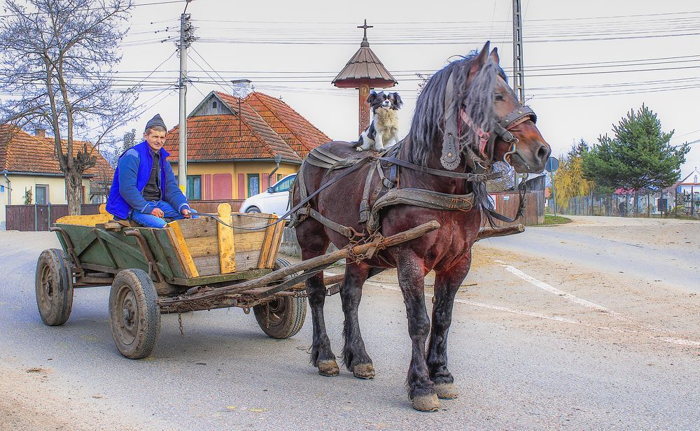 Get going, my friend