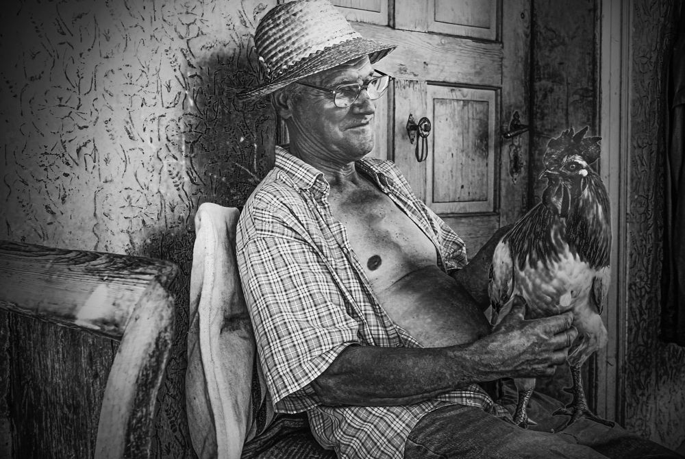 The rooster and his master