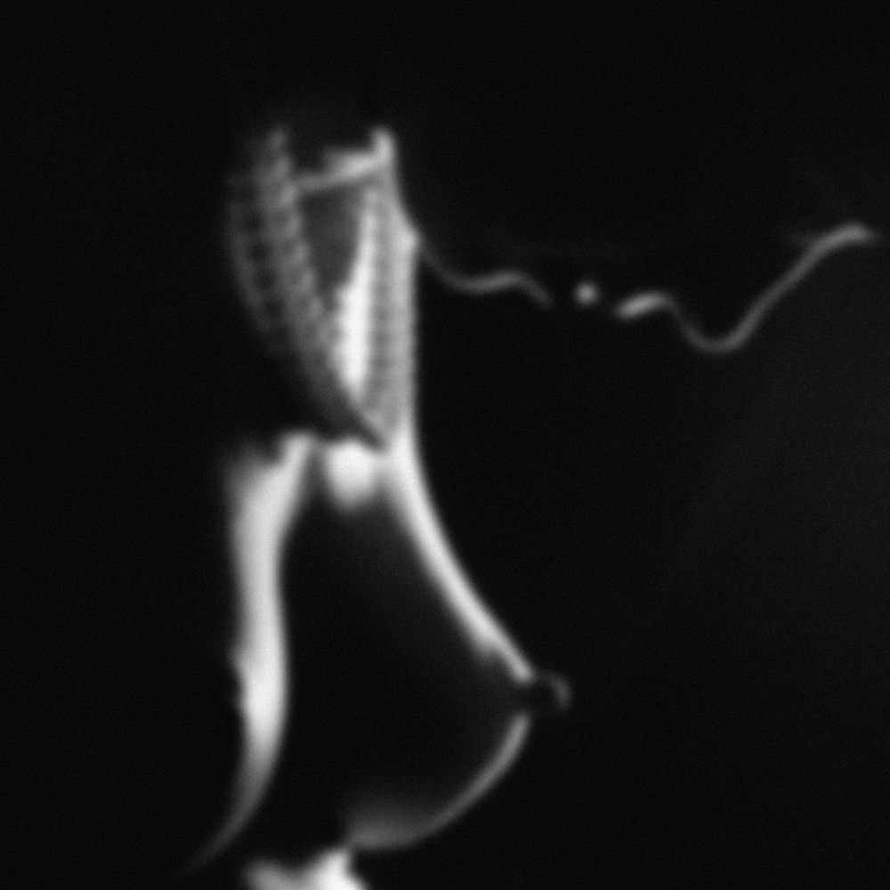 Photograph by игорь sipavichus