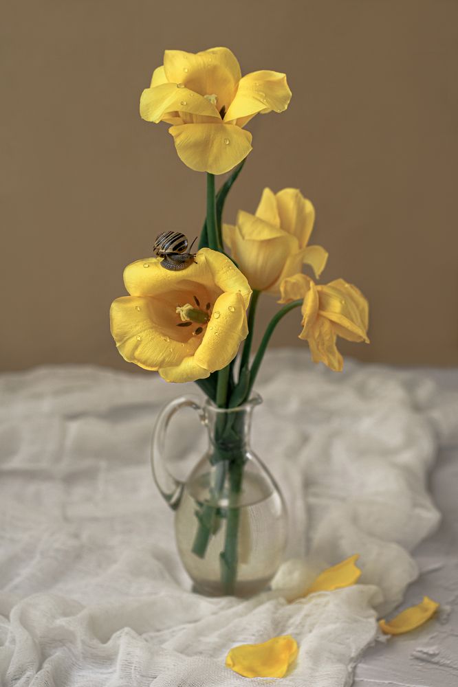 Photograph by Ольга Балашова