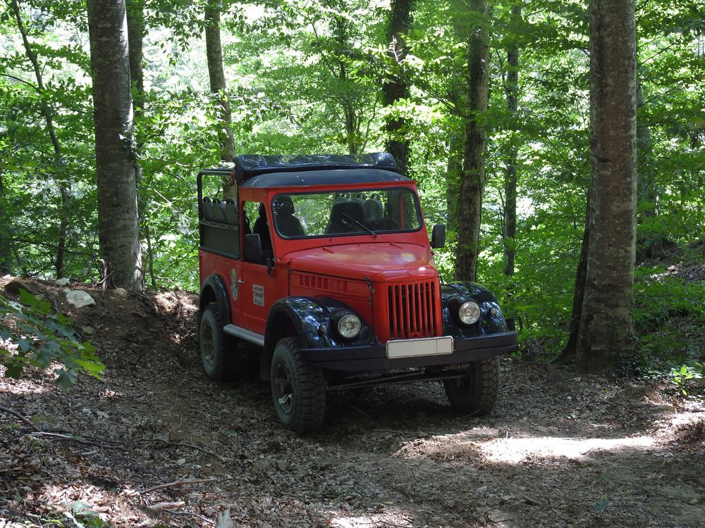 Photograph by Эдуард Седельник