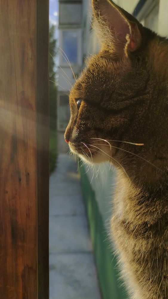 Photograph by Наталья Соловьева