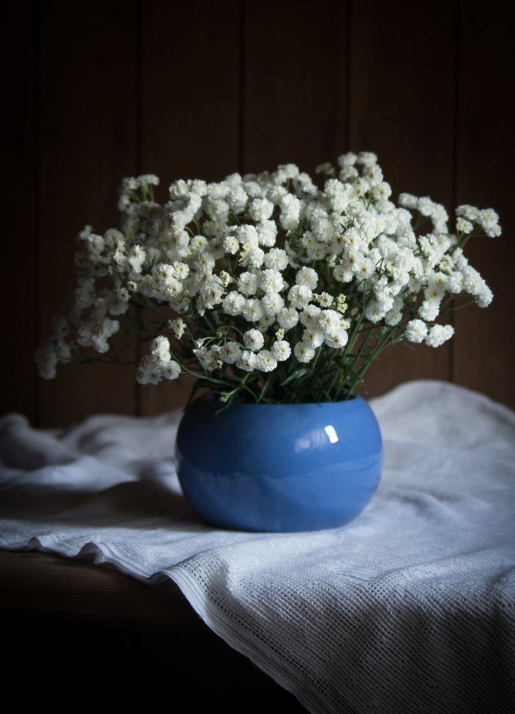 Photograph by Екатерина Вспышкина