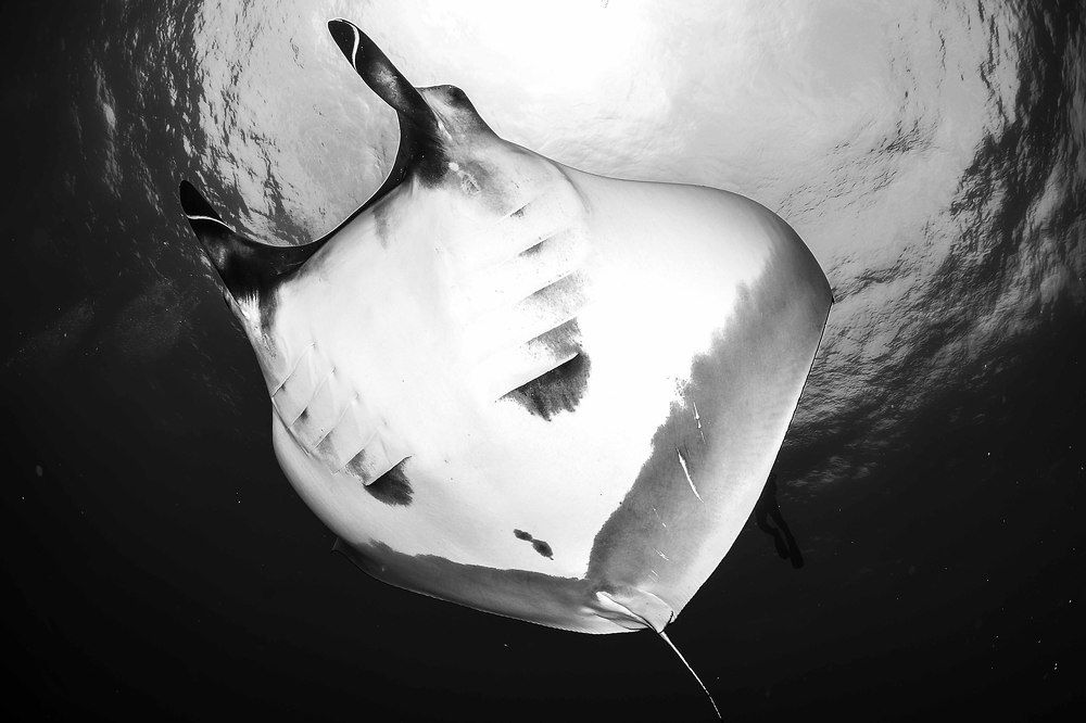 Photograph by Deniz muzaffer Gokmen