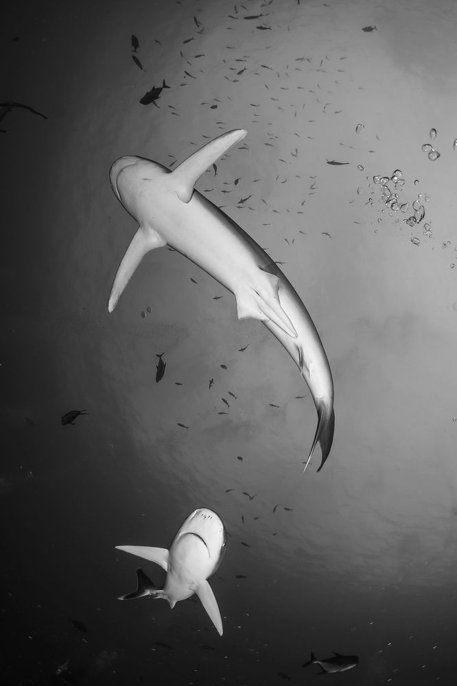 Photograph by Deniz muzaffer Gokmen