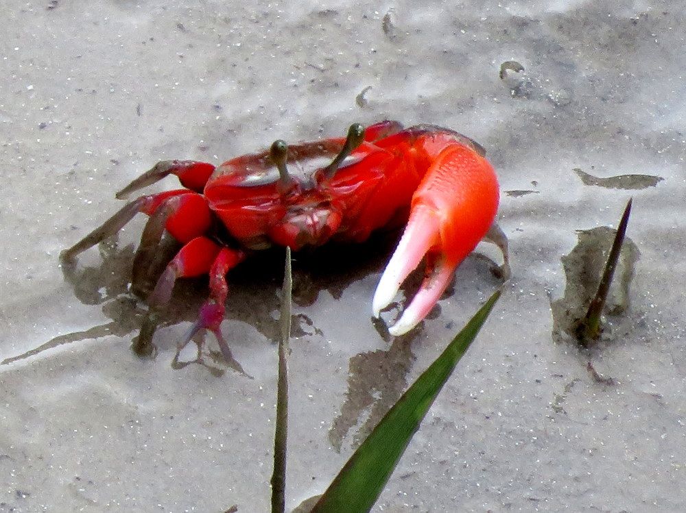 Photograph by Susmita Paul