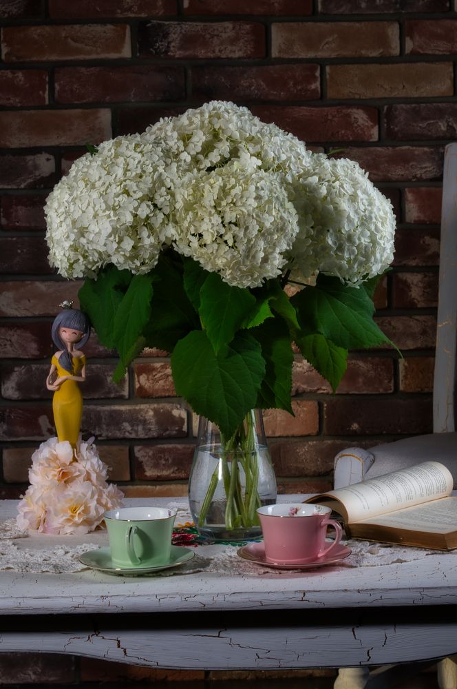 Photograph by Марина Шустова