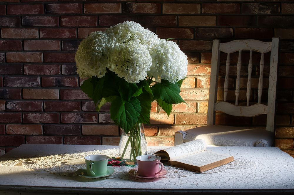 Photograph by Марина Шустова