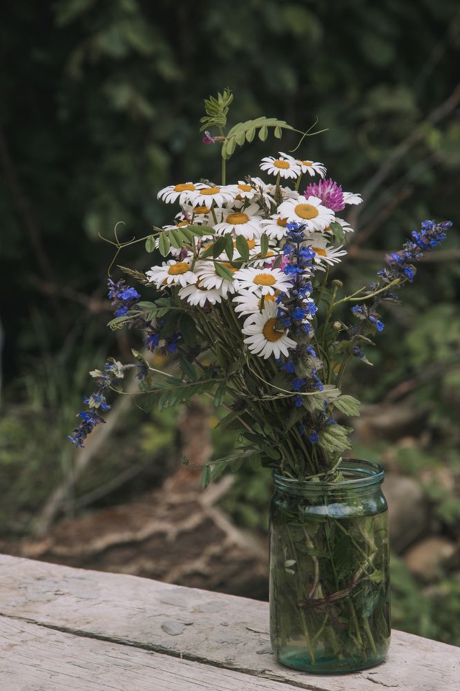 Photograph by Роман Рыбочкин