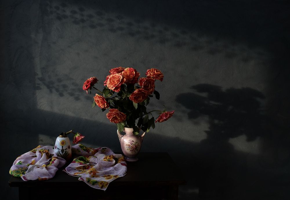 Evening light