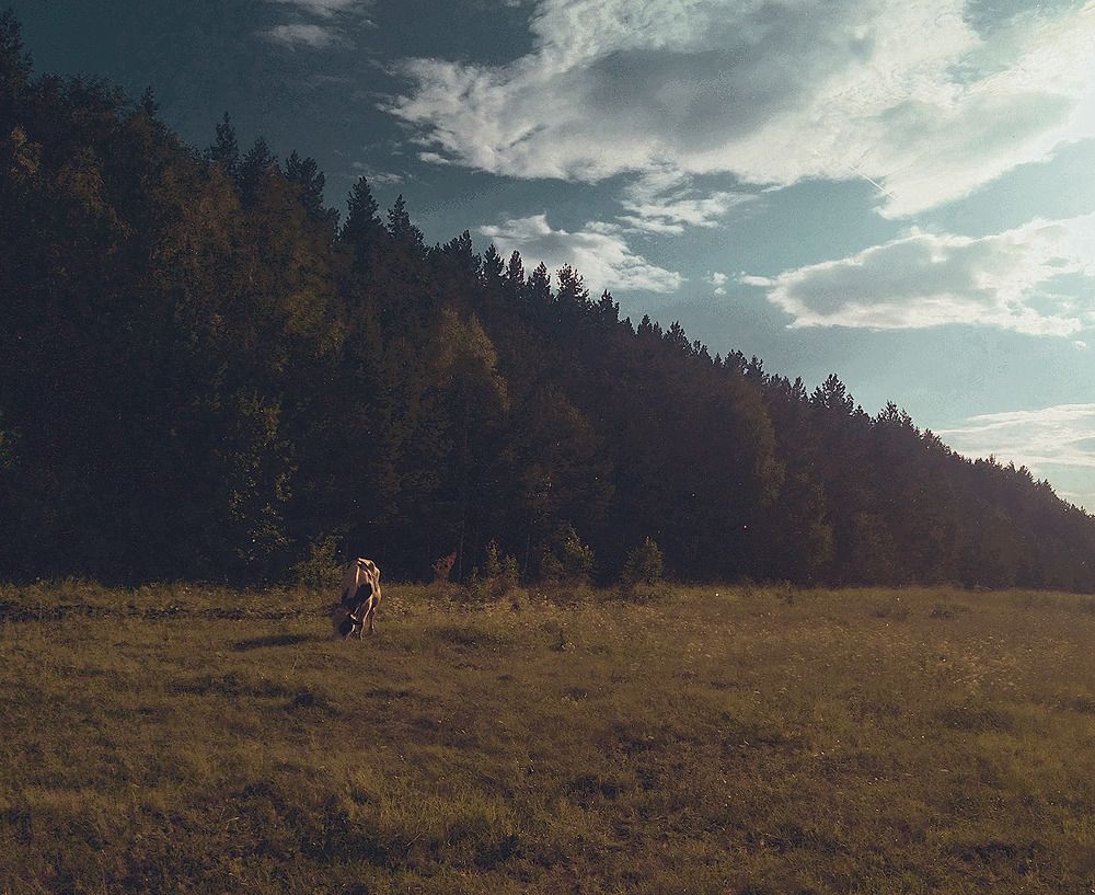 Photograph by Денис Терехин