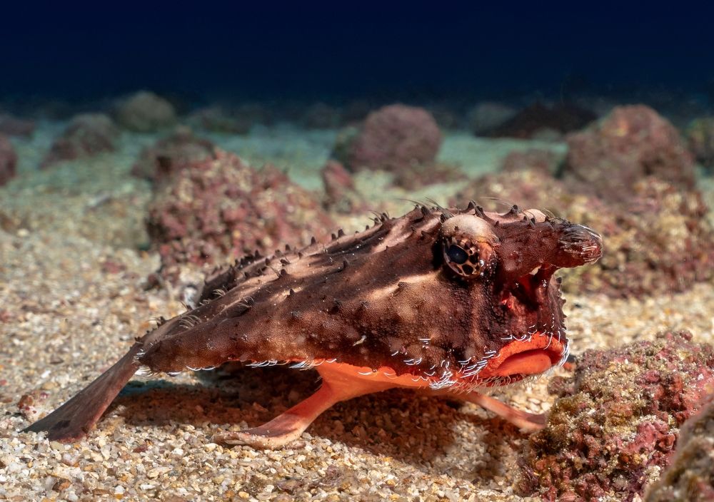 Photograph by Андрей Данильченко