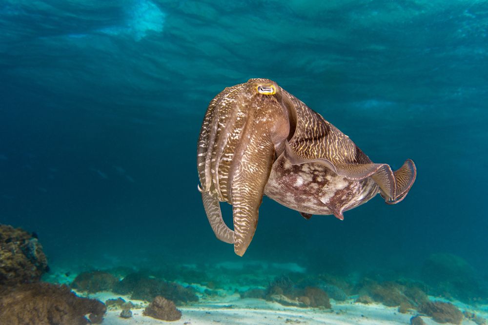 Photograph by Андрей Данильченко