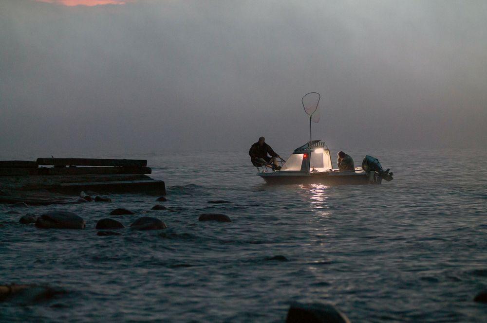 Photograph by Игорь Круглов