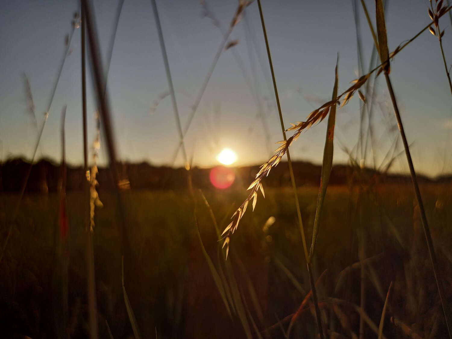 Photo #7851010