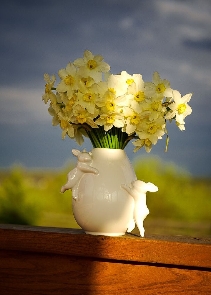 Фотография автора Алиса Чурчудесная