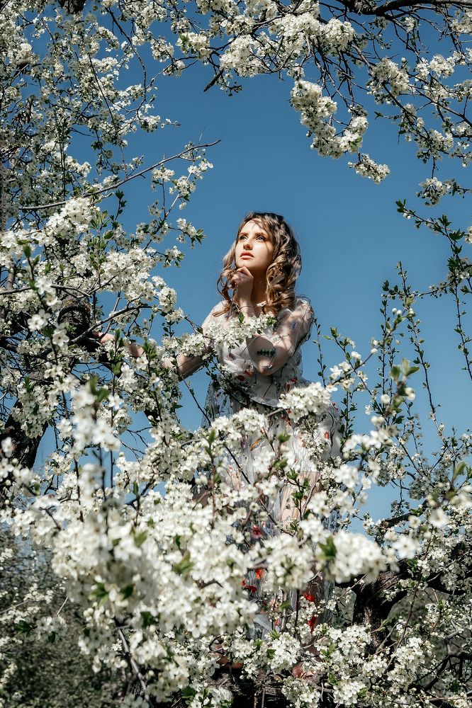 Photograph by Носачёва Виктория