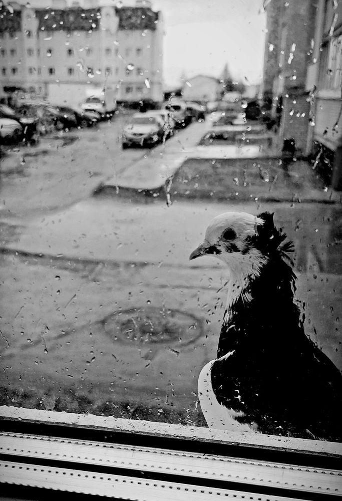 Photograph by Ангелина