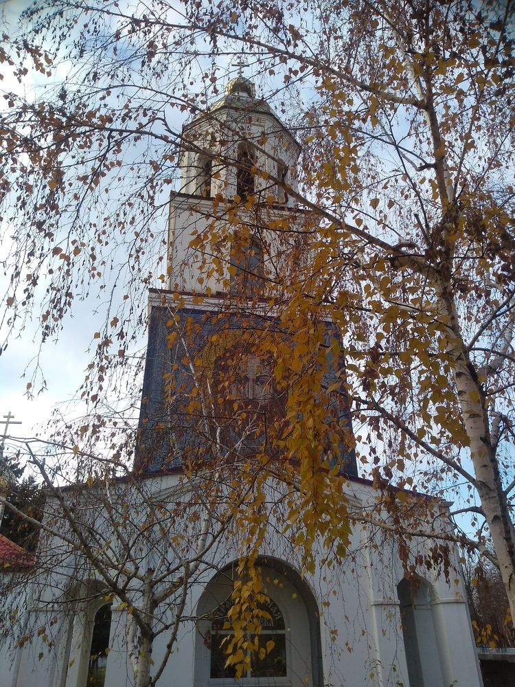 Photo #7851286
