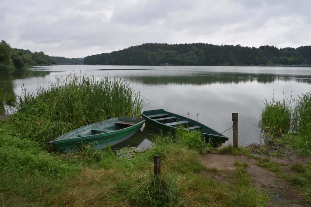 Cloudy day on the river