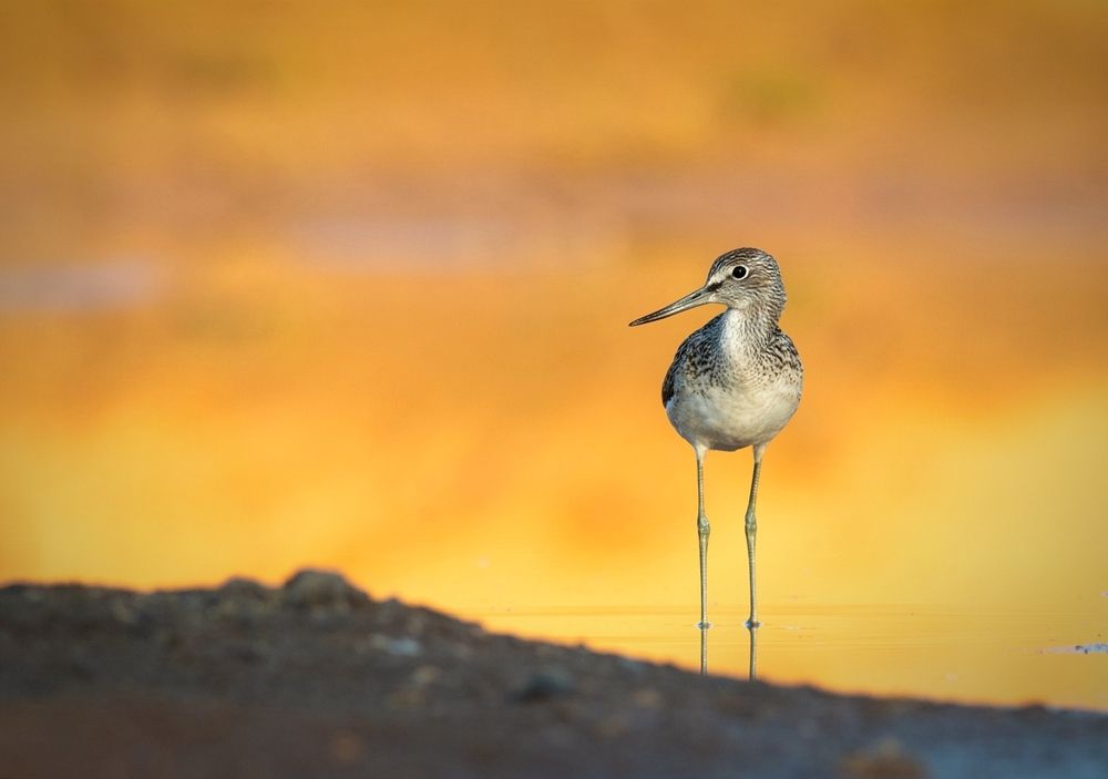 Photograph by Павел Краснослободцев
