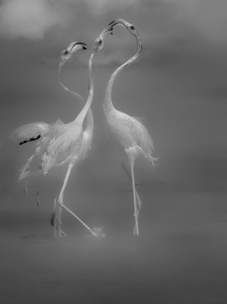 Photograph by Giuseppe Catalano