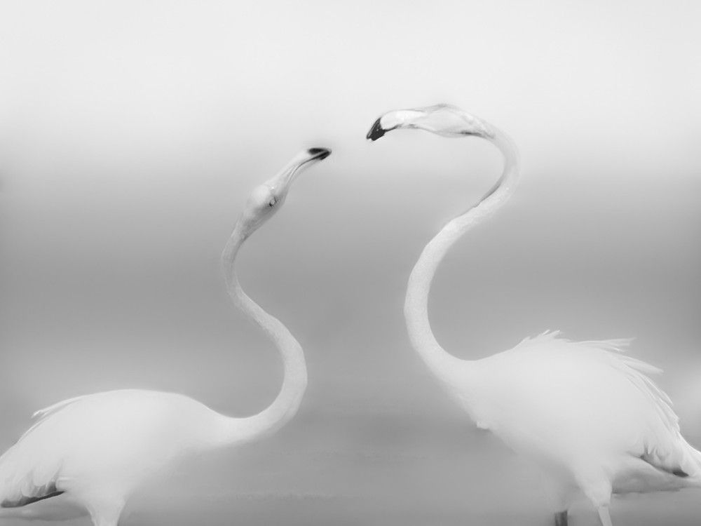 Photograph by Giuseppe Catalano