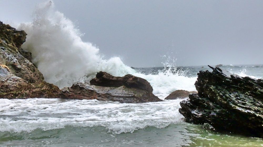 Photograph by Hilary McShine