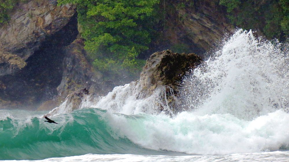 Photograph by Hilary McShine