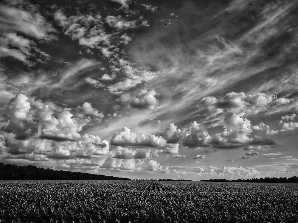 Фотография автора Алла Шикина