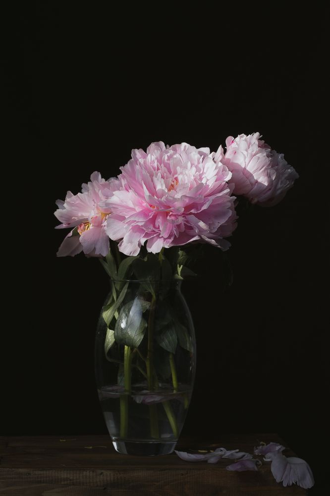 Фотография автора Natalja Bindere