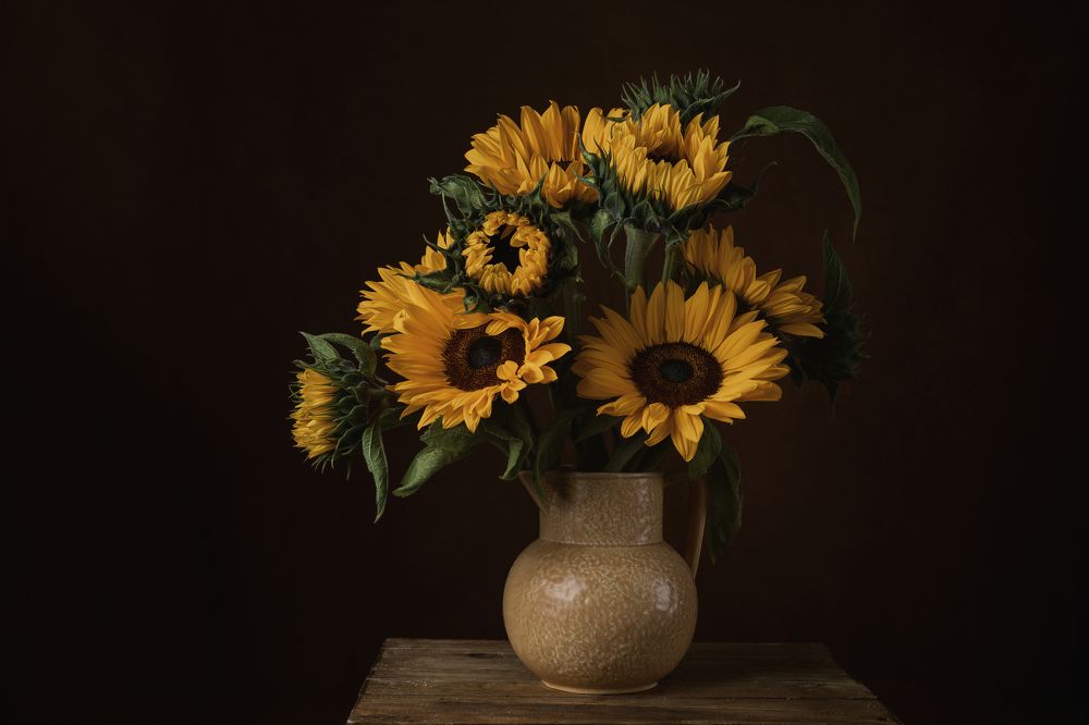 Фотография автора Natalja Bindere