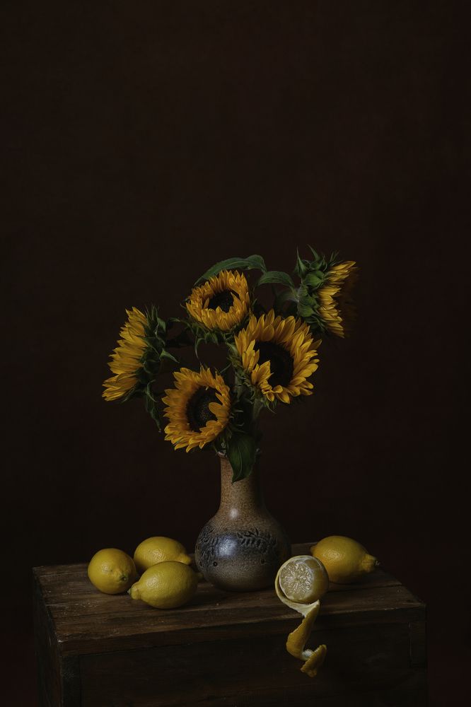 Фотография автора Natalja Bindere