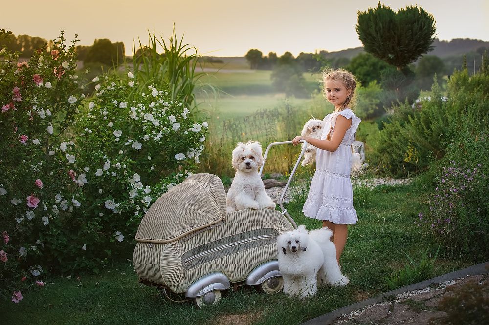 Photograph by Ирина Подгорная