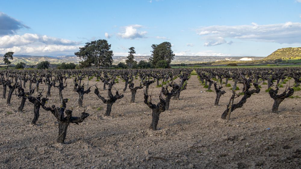 Photograph by Игорь Калинин