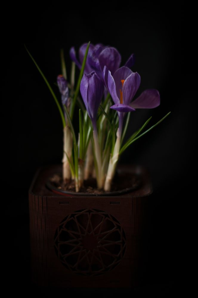 Photograph by Олеся Лагутина