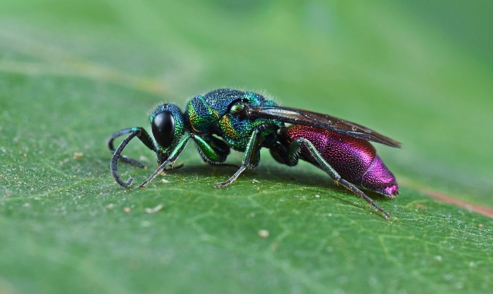 Photograph by Овечкин Павел