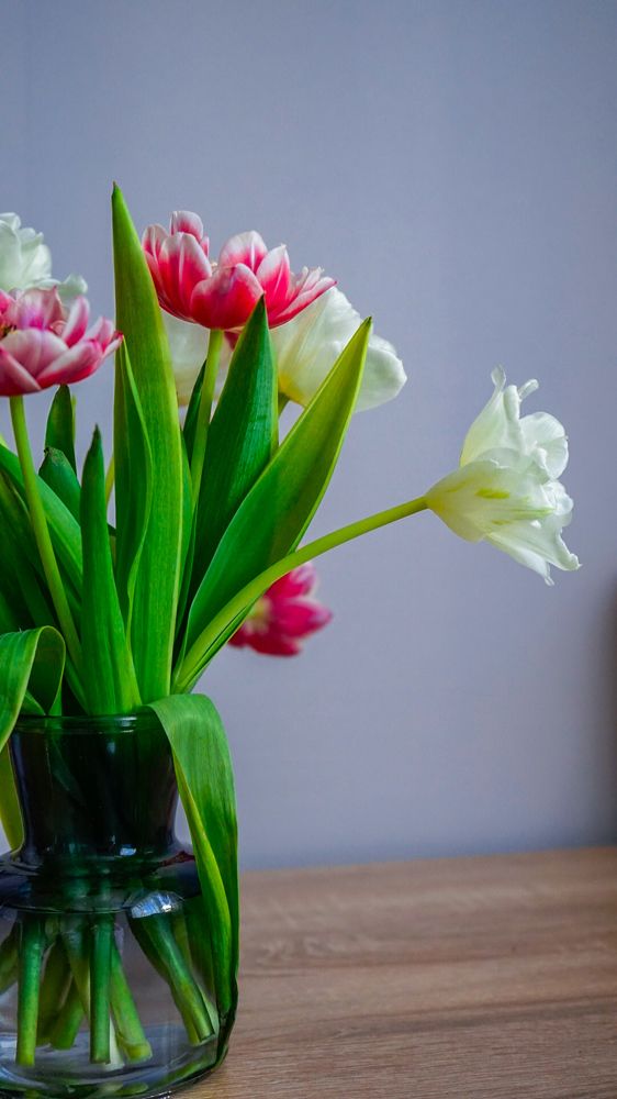 Фотография автора Slim Soyadi