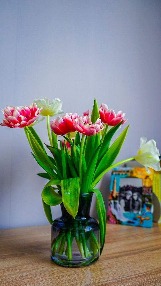 Фотография автора Slim Soyadi