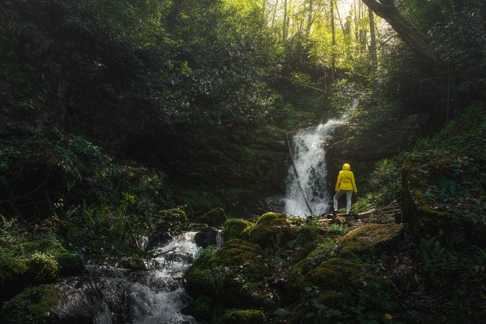 Photograph by Helen Vasilieva