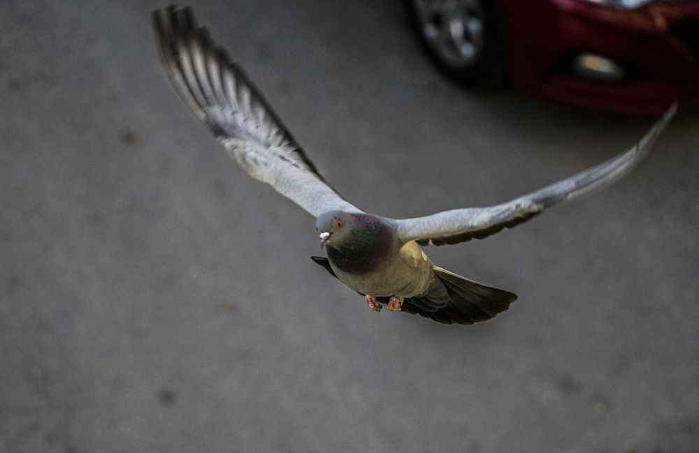 Photograph by Buket Demirel