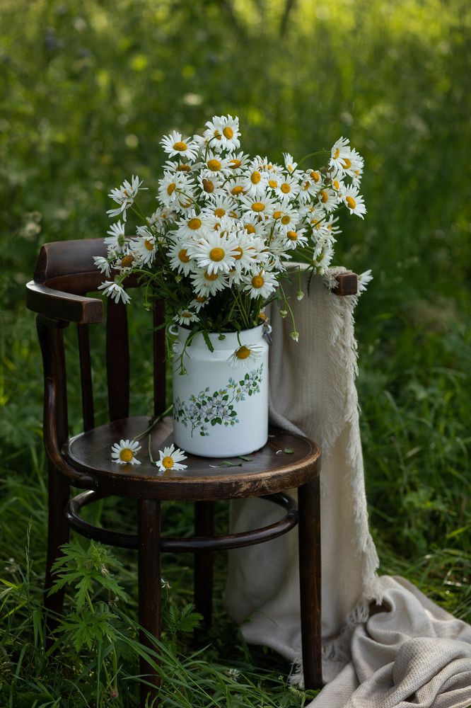 Photograph by Ирина Резнюк