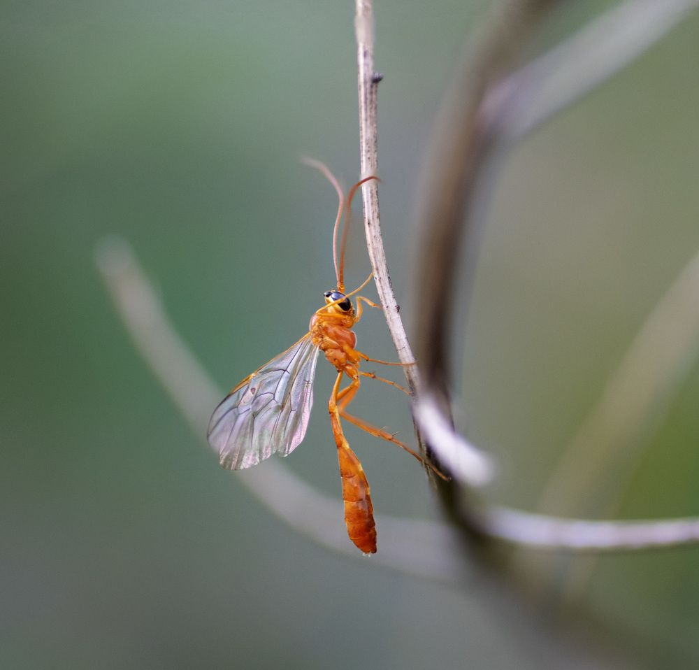 Photograph by Эльвира Быкова